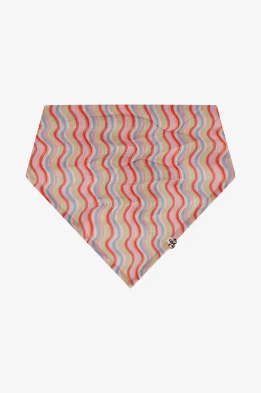 The New Chapter D602-0922