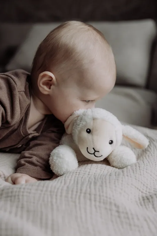 flow amsterdam 2305027