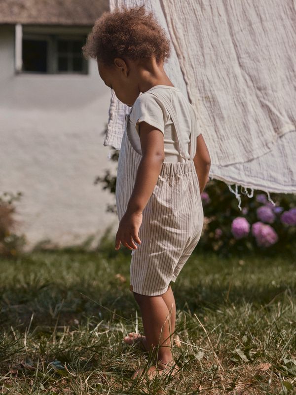 Lil' Atelier 13256126