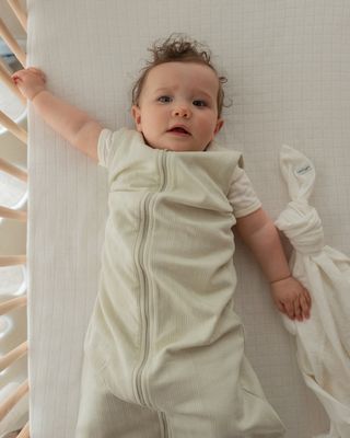 Lodger Hopper Pointelle