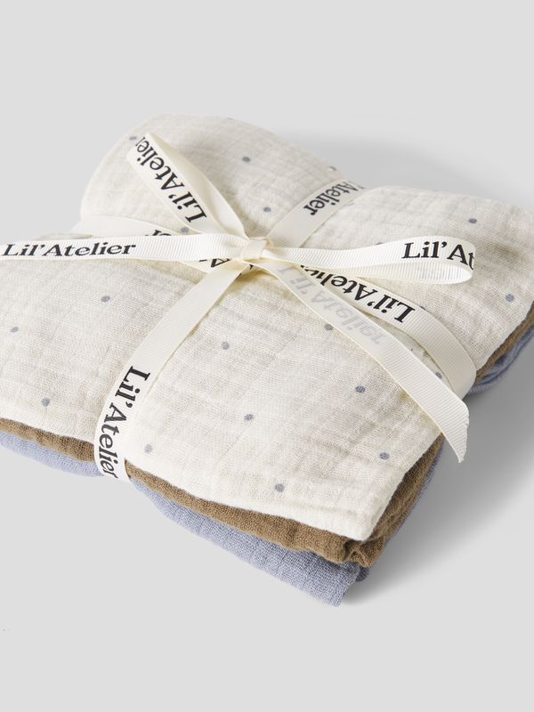 Lil' Atelier 13256520
