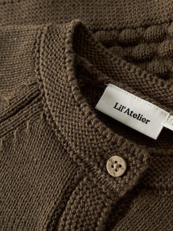 Lil' Atelier13258922