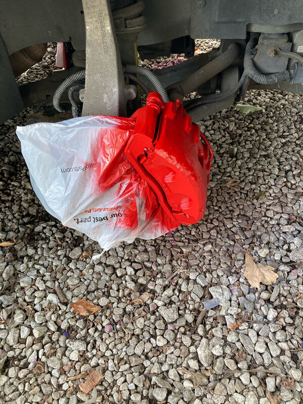 Rim/Caliper paint