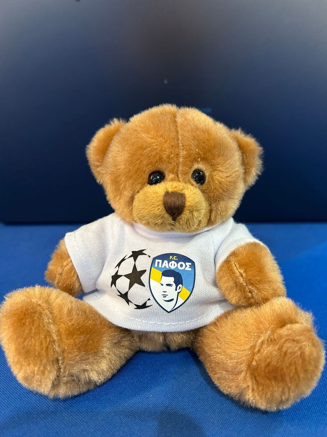 PFC Teddy Bear Champions League
