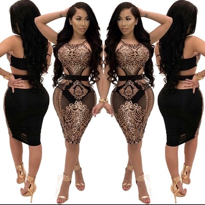 Bodycon High Quality Mesh Dress