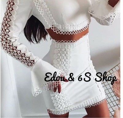 Elegant Embroidery outfit sets