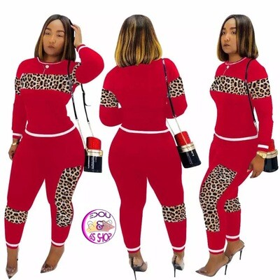 2 Piece Leopard Outfit