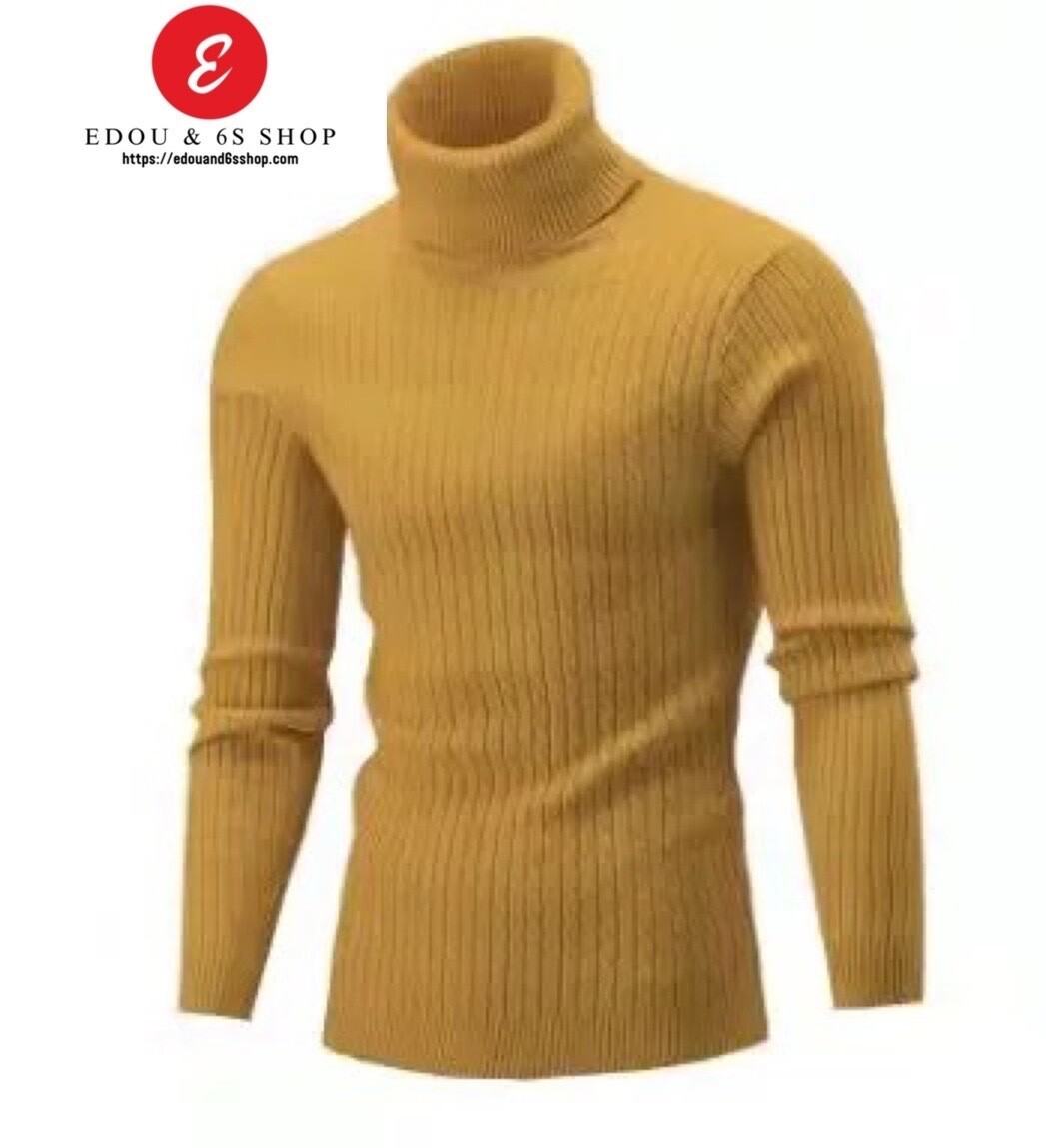 Long Sleeved Turtle Neck
