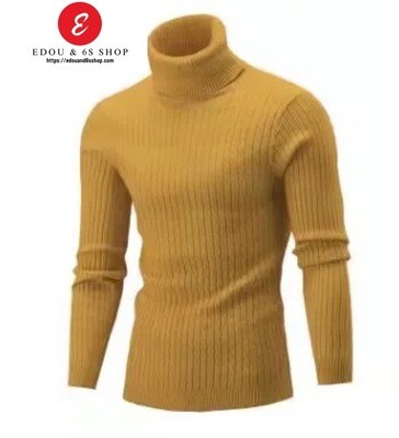 Long Sleeved Turtle Neck