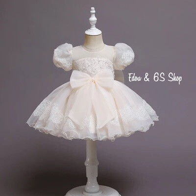 Princess elegant dresses