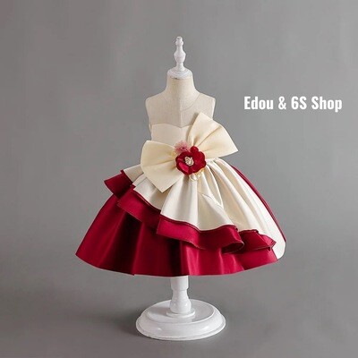 Fancy girl party dress