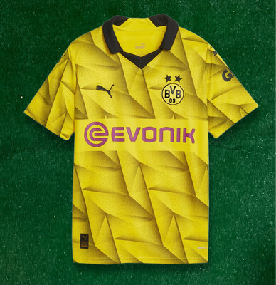 Dortmund Third 23/24