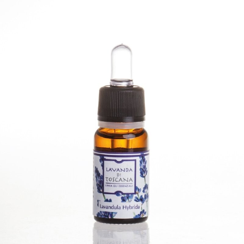 Biologisches ätherisches Öl aus Lavandino Toscano/Organic Lavandino Toscano essential oil