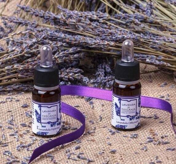 Ätherisches Bio-Lavendelöl (Officinal)/Organic essential oil of Officinal Lavender