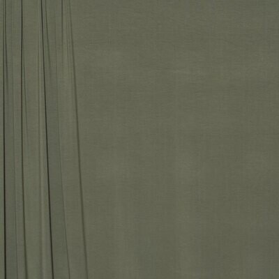Jersey Knit Rayon/Spandex - Sage 21-1121-9