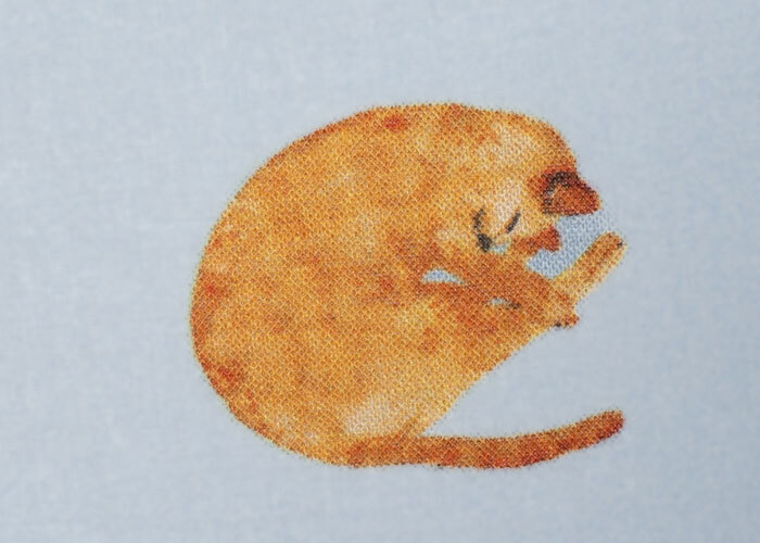 Cotton - Sky Blue Cats - END CUT Cotton - Sky Blue Cats - END CUT