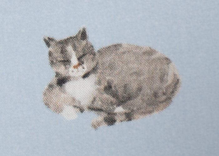 Cotton - Sky Blue Cats - END CUT Cotton - Sky Blue Cats - END CUT
