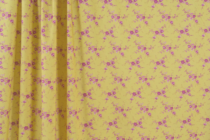 Tana Lawn™ Cotton - Amelie Luise Curry