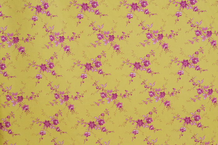 Tana Lawn™ Cotton - Amelie Luise Curry