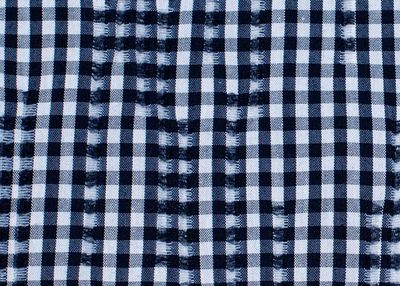 Cotton Slub Stretch - Navy & White Gingham 46-525-4
