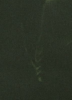 Waxed Cotton - Fern Green 63-423-17-FX