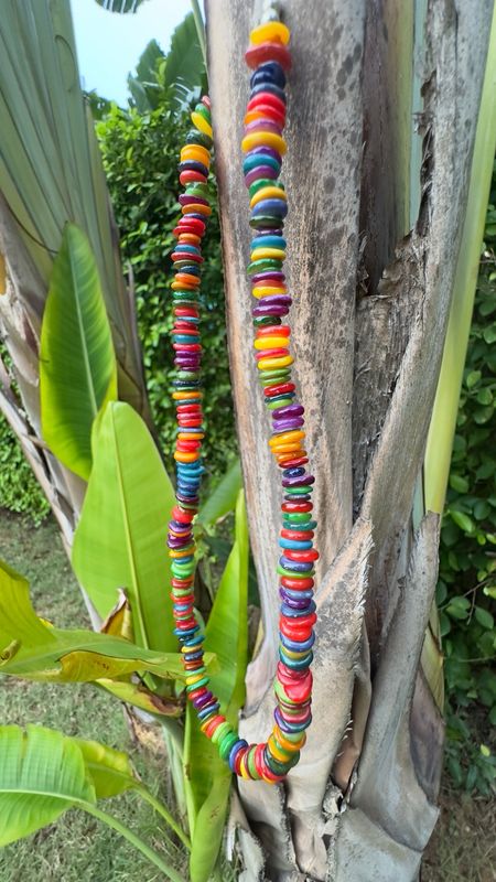 Rainbow Circle Necklace 