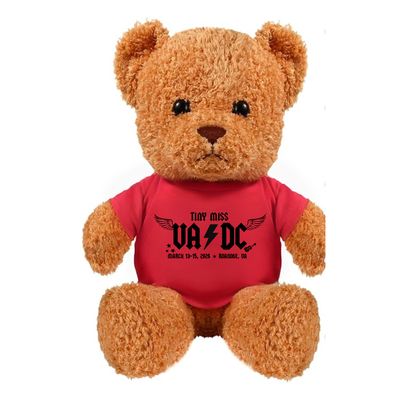 VA DC Good Luck Teddy Bear