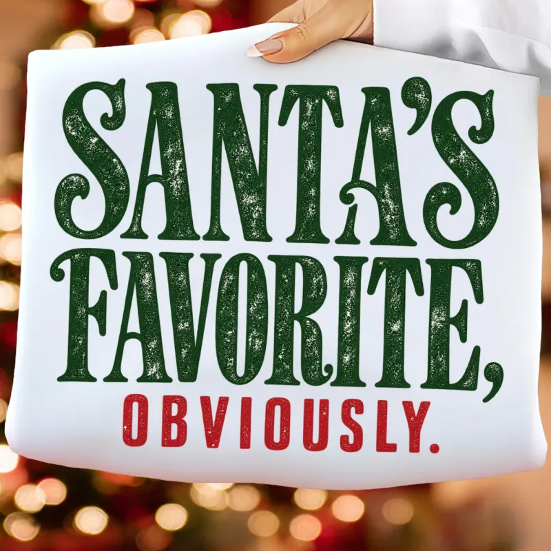 Santa's Favorite