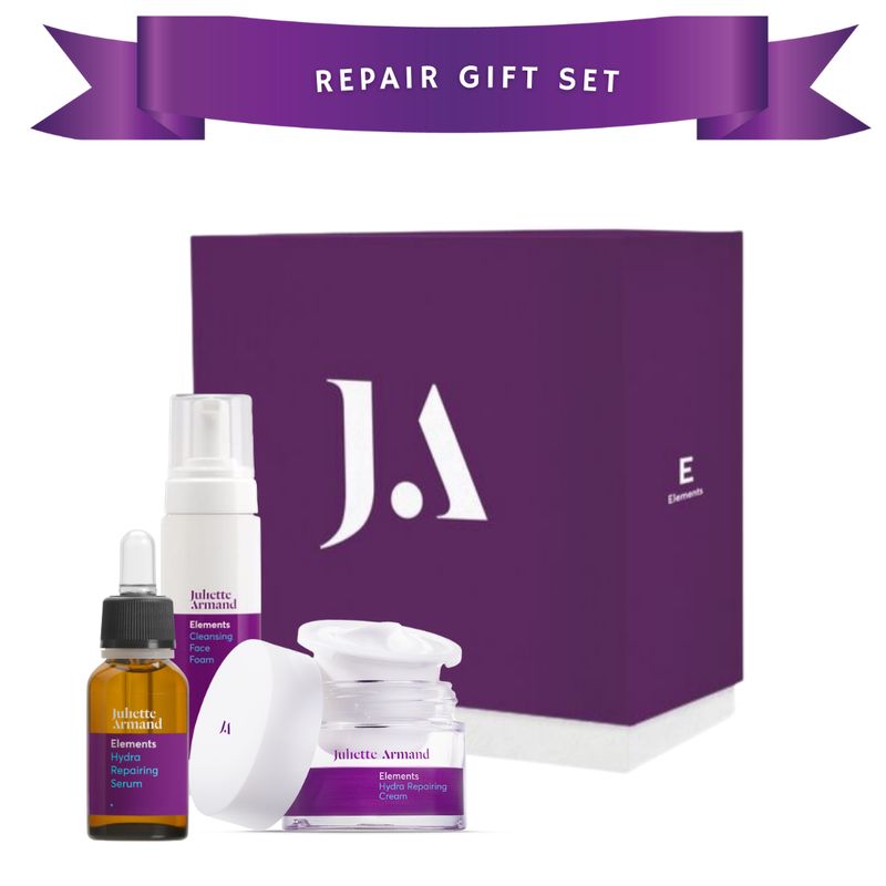 Repair Gift Set