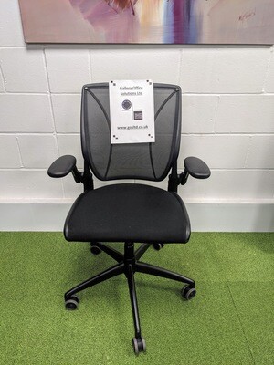 ​Humanscale Diffrient World Task Chair With Mesh Back in Black