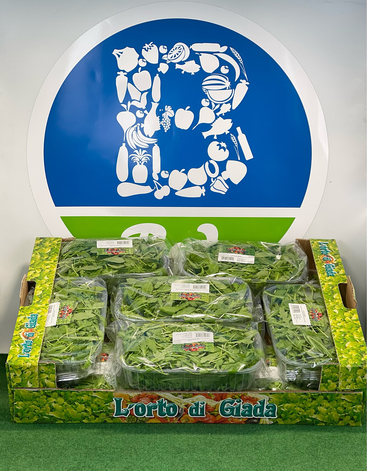 Rucola Schale 6 x 125 gr. (Schale 0,35ct.)