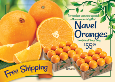 2 Tray Navel Oranges (FS)