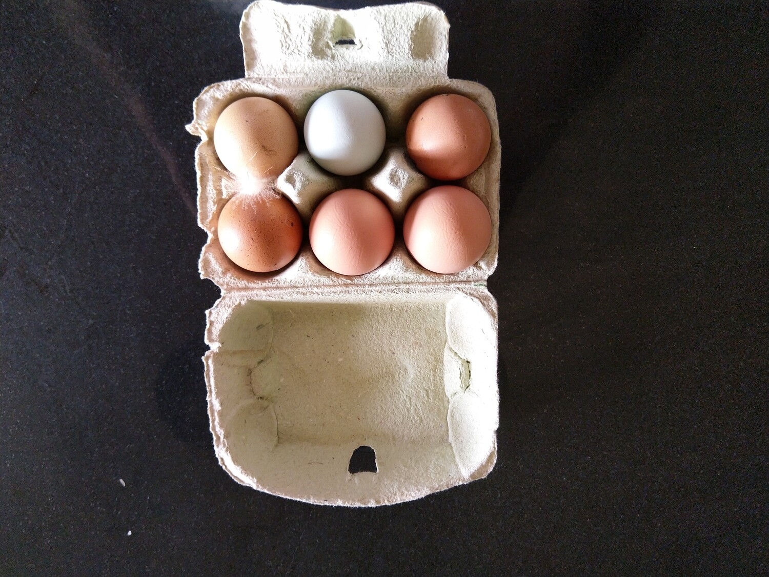 6 Oeufs Fermiers Bio