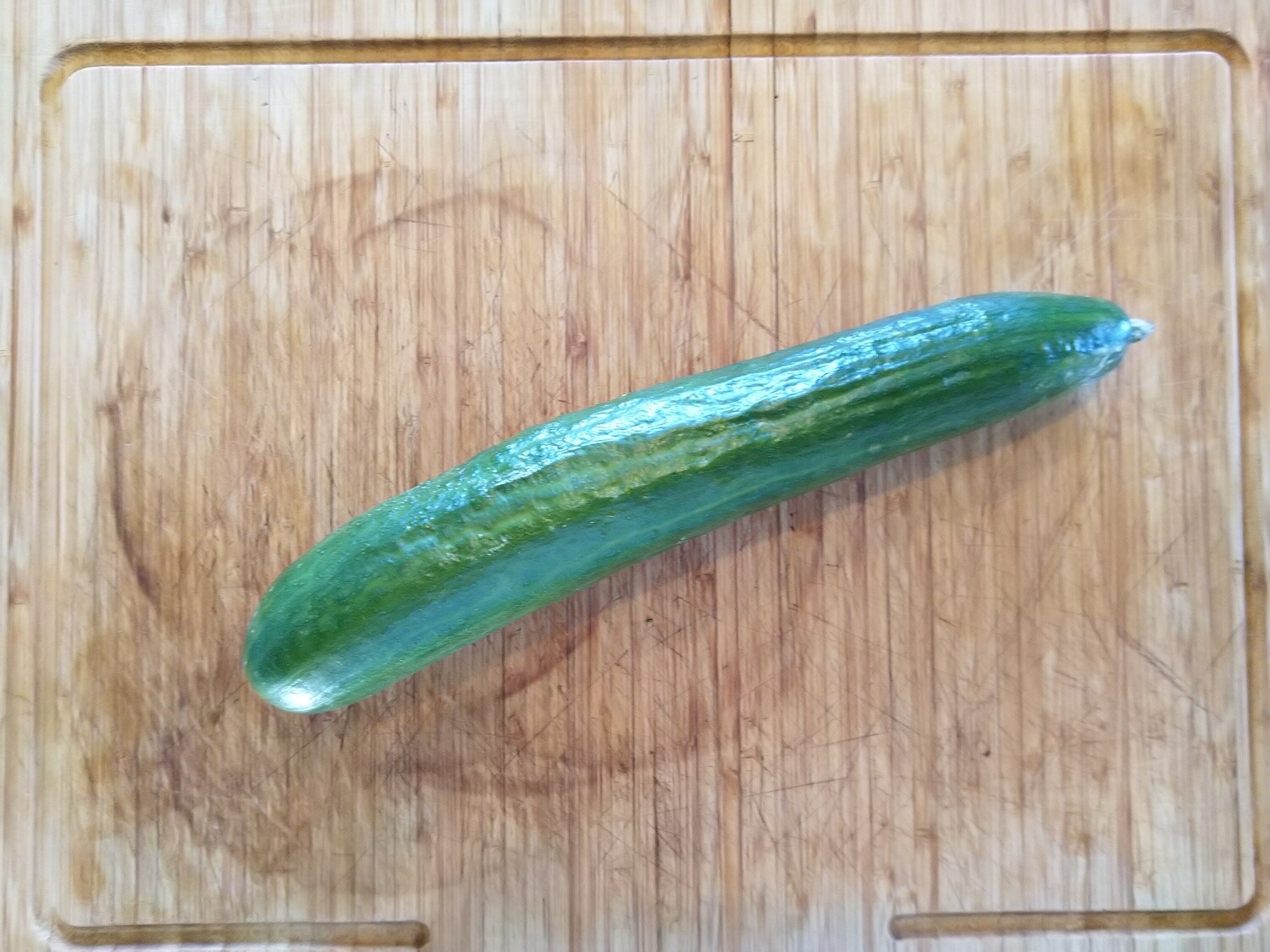 Concombre
