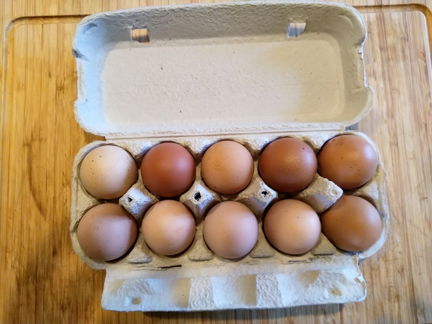 10 Oeufs Fermiers Bio