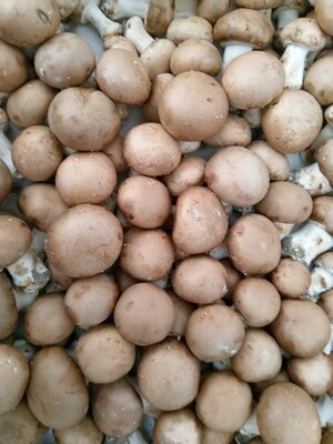 Champignons de Paris Brun 100 gr