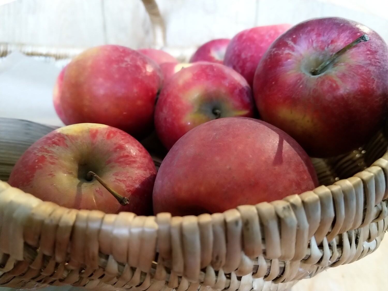 Pommes 500 gr