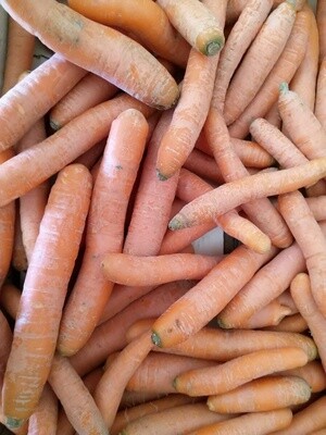 Carotte 500 gr