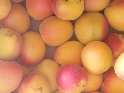 Abricote 500 gr