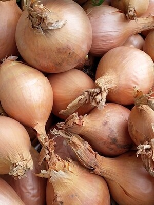 Oignon blanc 500 gr