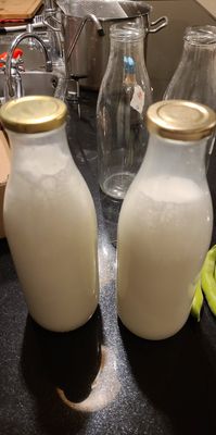 Produits Laitiers Bio