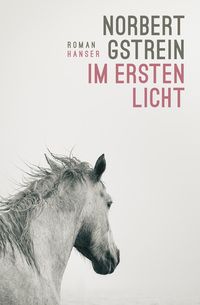 Im ersten Licht - Robert Gstrein Im ersten Licht - Robert Gstrein