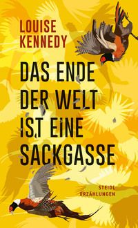 Das Ende der Welt ist eine Sackgasse - Louise Kennedy