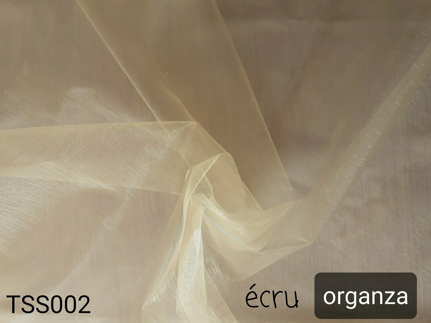 Organza couleur écru