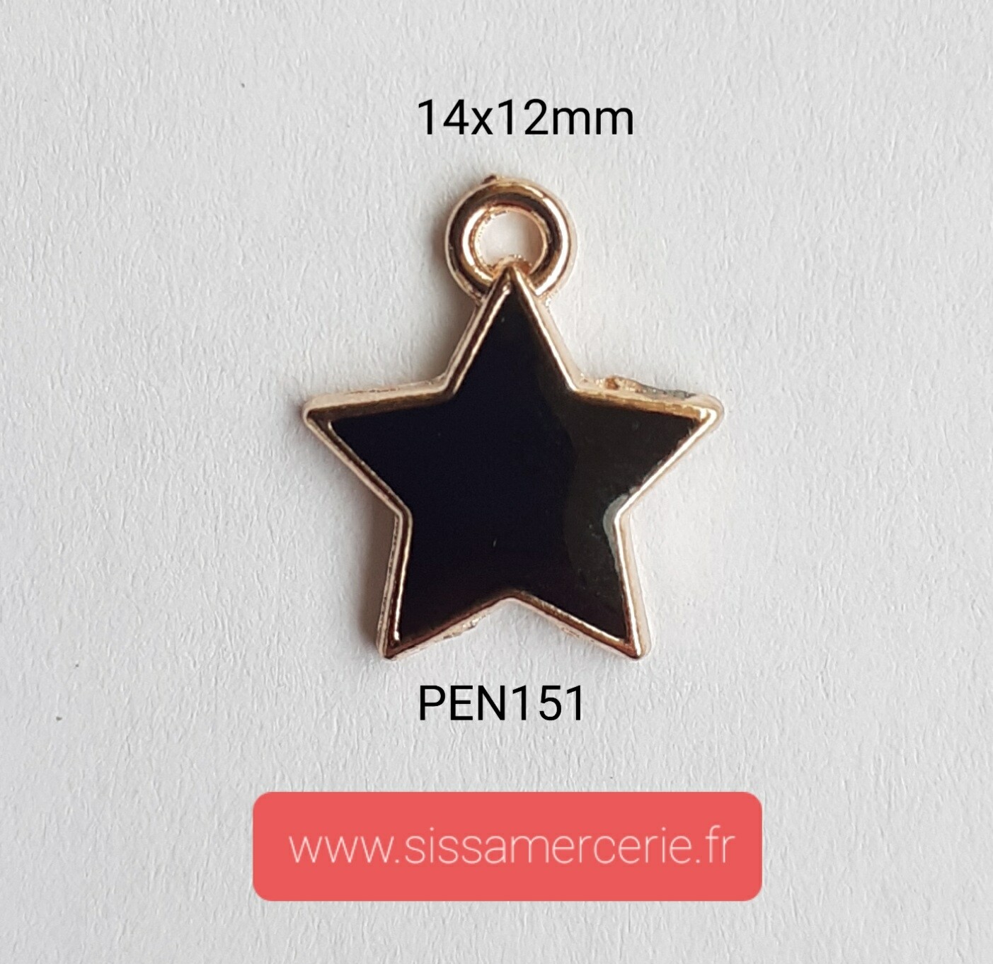 Pendentif / breloque étoile noire