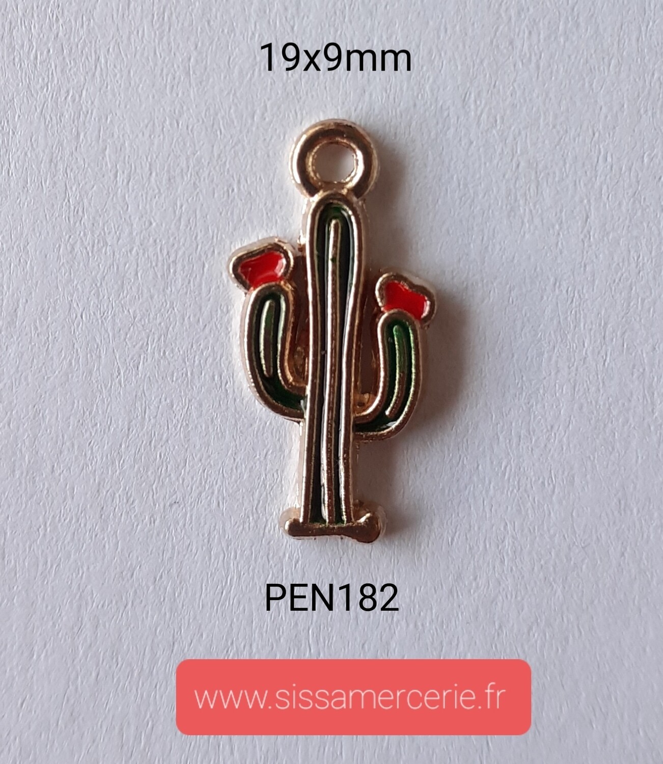 Pendentif / breloque cactus