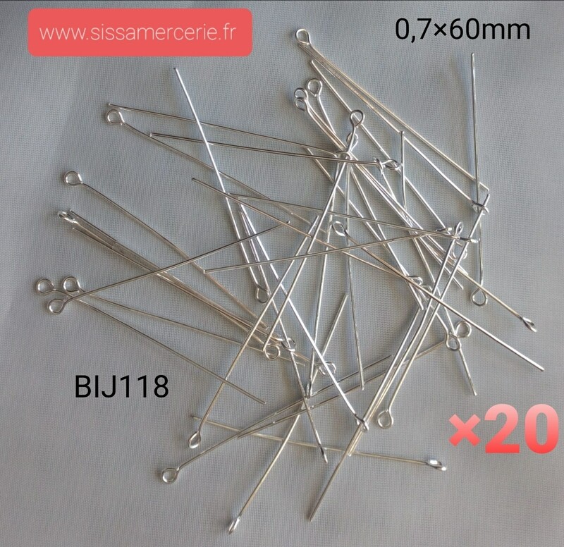 20 tiges clou tête ronde 5cm argenté clair