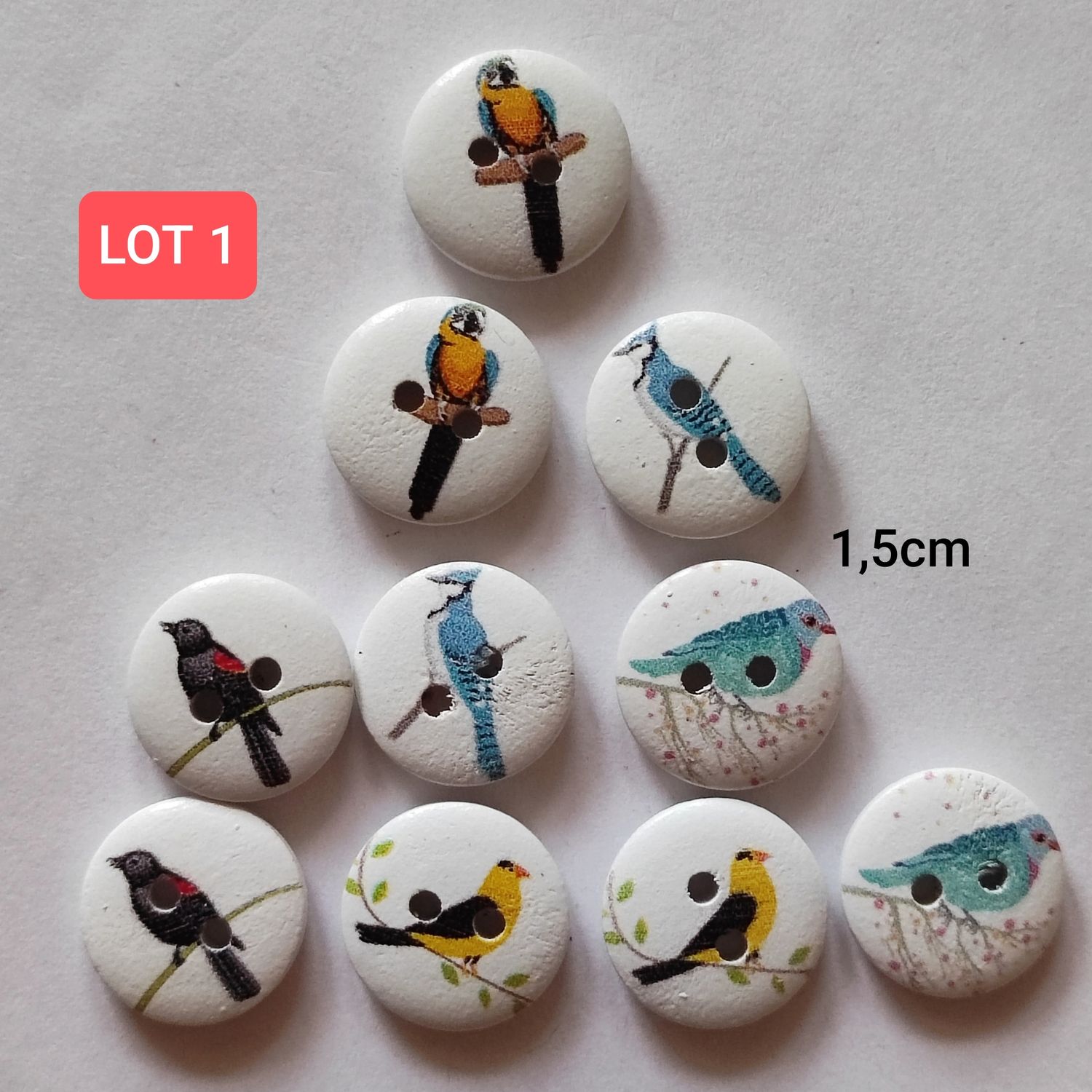 10 boutons en bois oiseau LOT 1