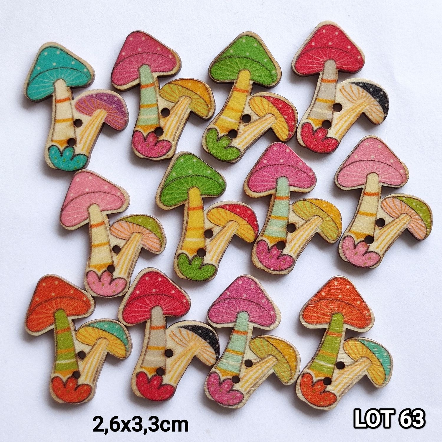 12 boutons en bois champignons LOT 63
