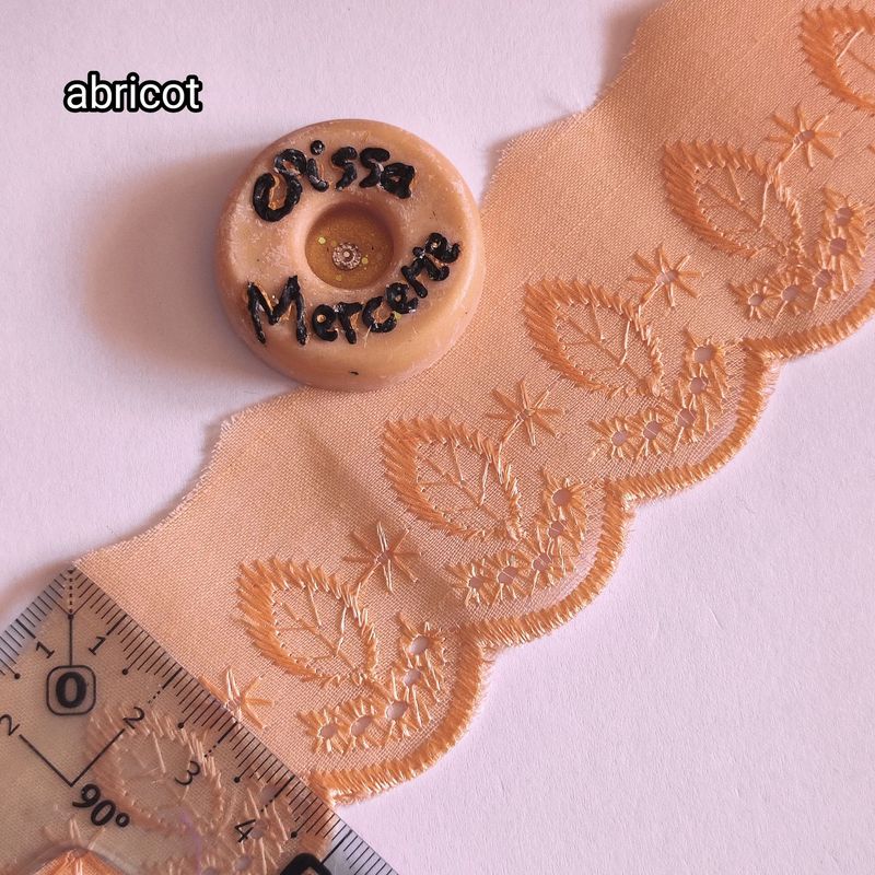 Dentelle brodée 4,5 cm/ choisissez vos couleurs
